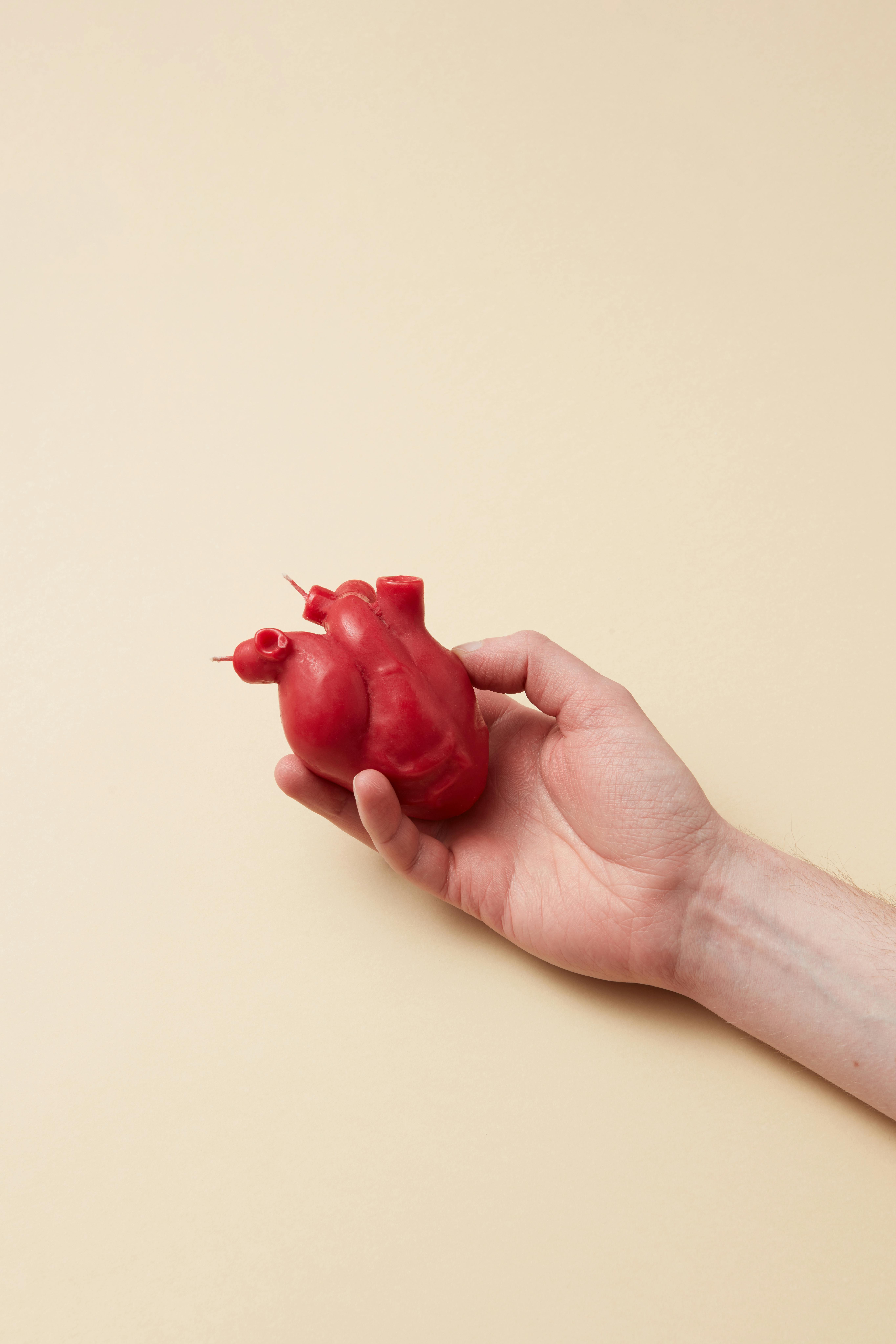 Die Steirerin – Hack your Health