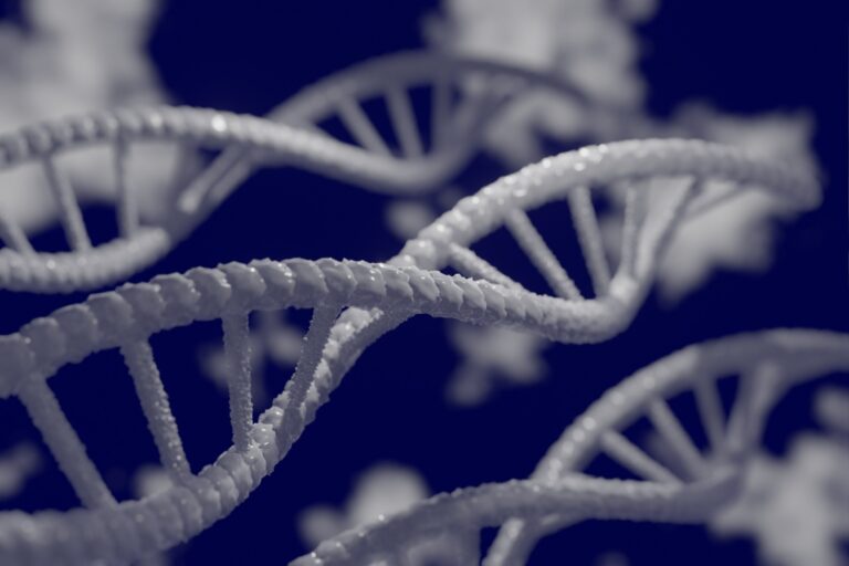 Die Genetik kann den Cholesterinspiegel bestimmen