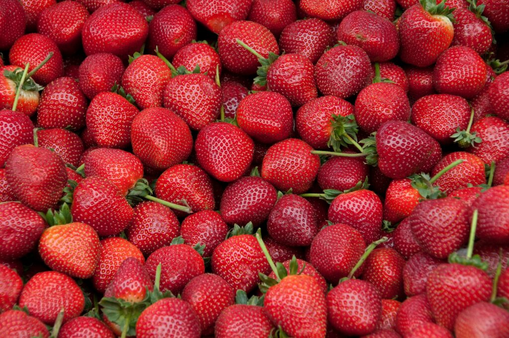 Erdbeeren haben einen hohen Gehalt an Fisetin.