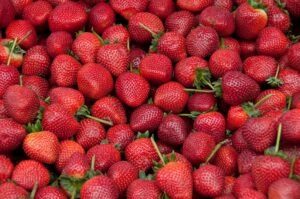 Erdbeeren haben einen hohen Gehalt an Fisetin.